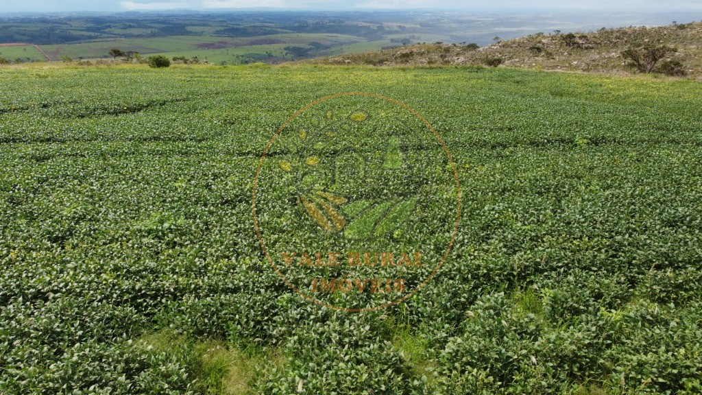Fazenda - Foto 20