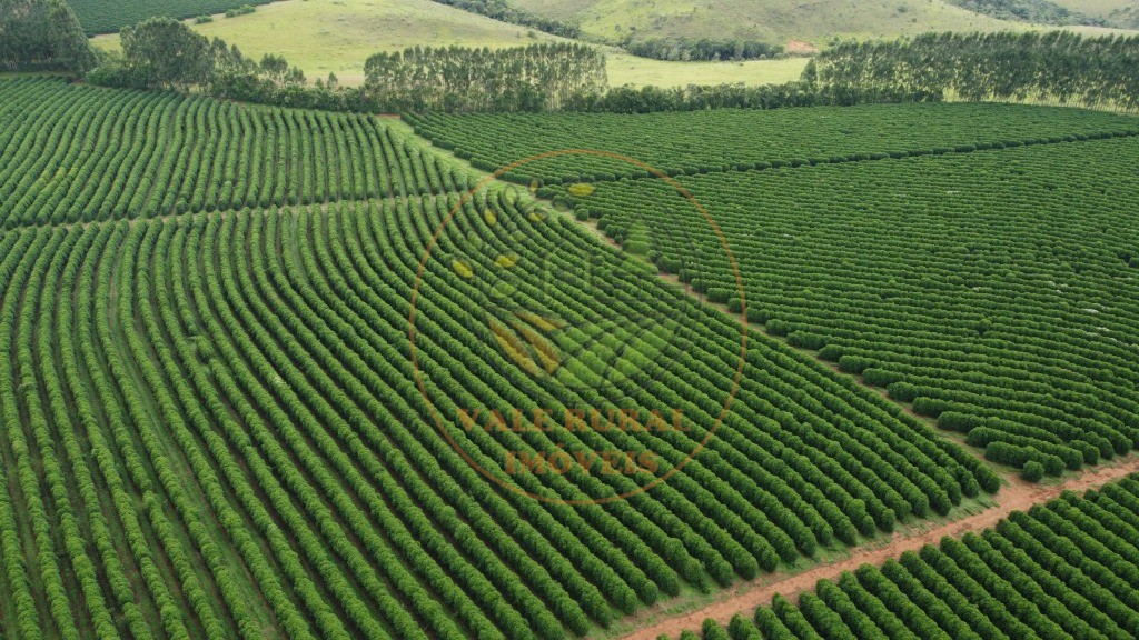 Fazenda - Foto 14