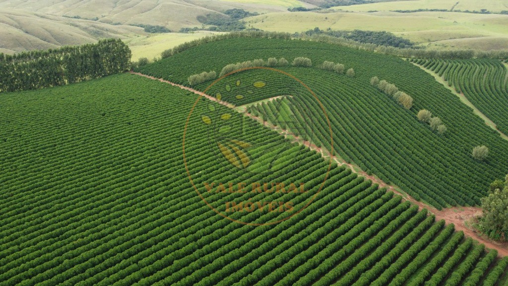 Fazenda - Foto 18
