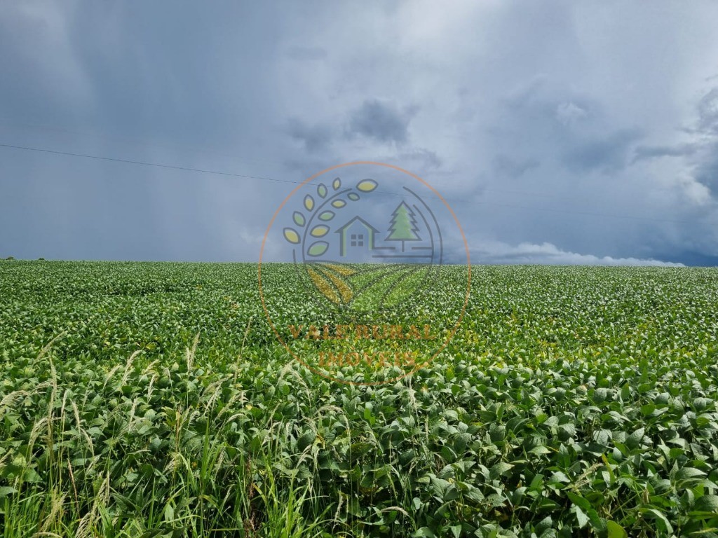 Fazenda - Foto 13