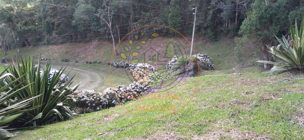 Sítio, 1 quarto - Foto 21