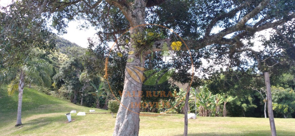 Sítio, 1 quarto - Foto 20