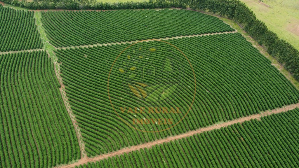 Fazenda - Foto 19