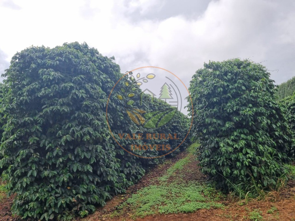 Fazenda - Foto 7