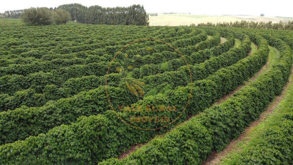 Fazenda - Foto 16