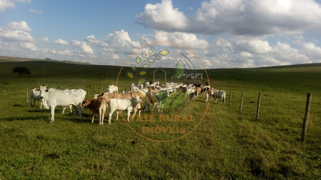 Fazenda - Foto 10