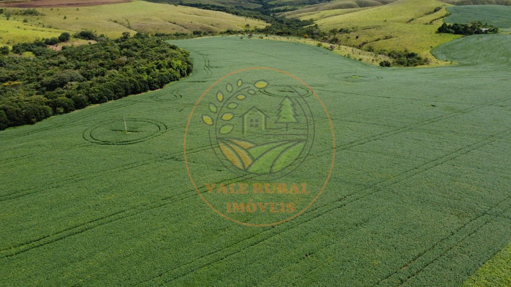 Fazenda - Foto 6