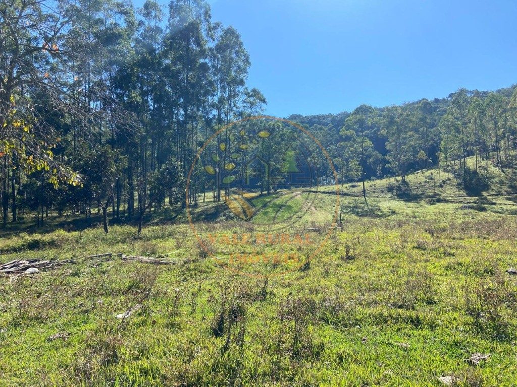 Fazenda, 3 quartos - Foto 51