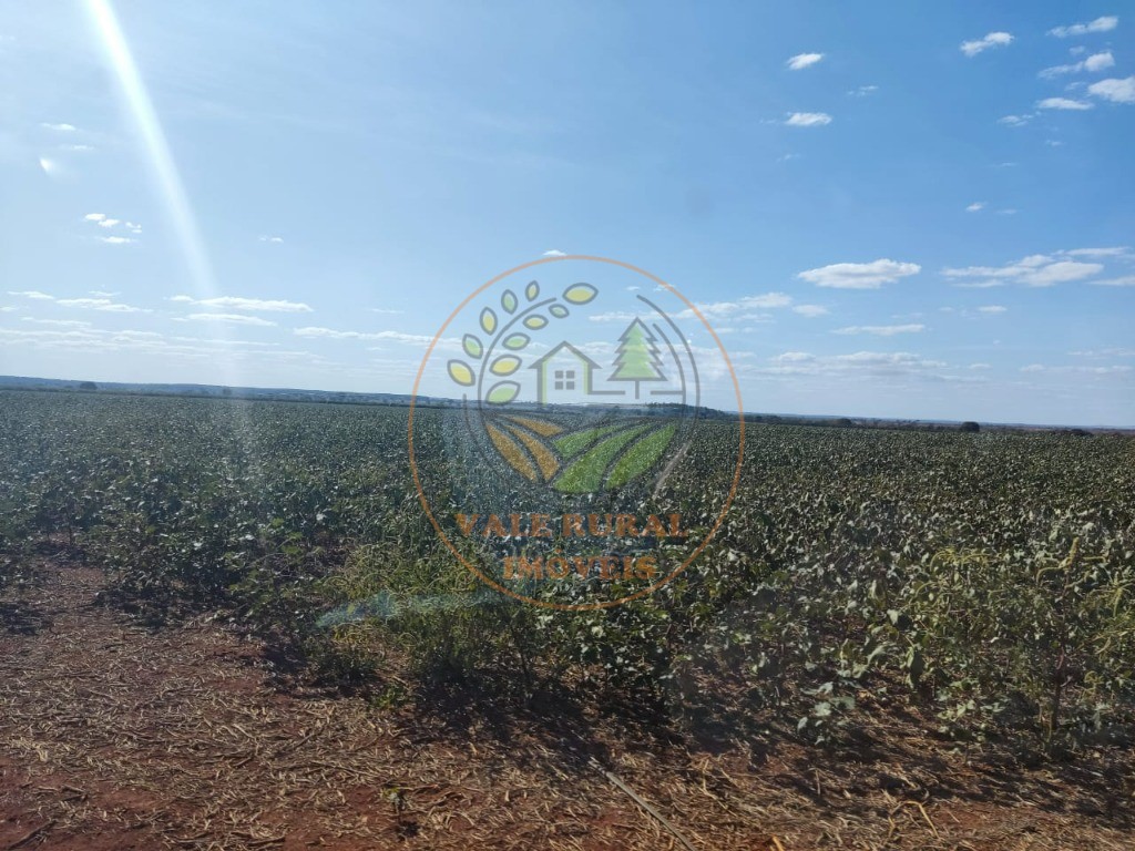 Fazenda - Foto 3