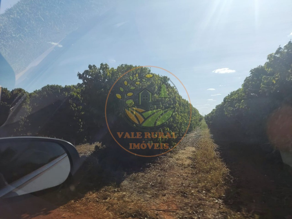 Fazenda - Foto 13