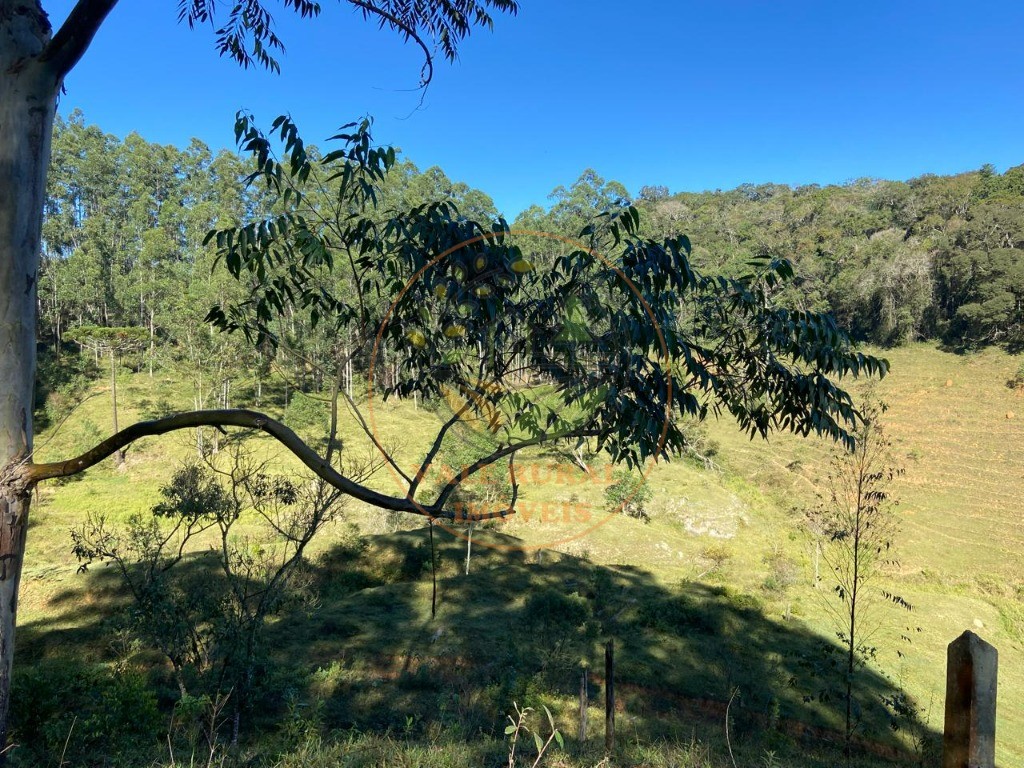 Fazenda, 3 quartos - Foto 45
