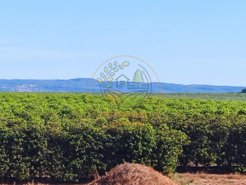 Fazenda - Foto 9