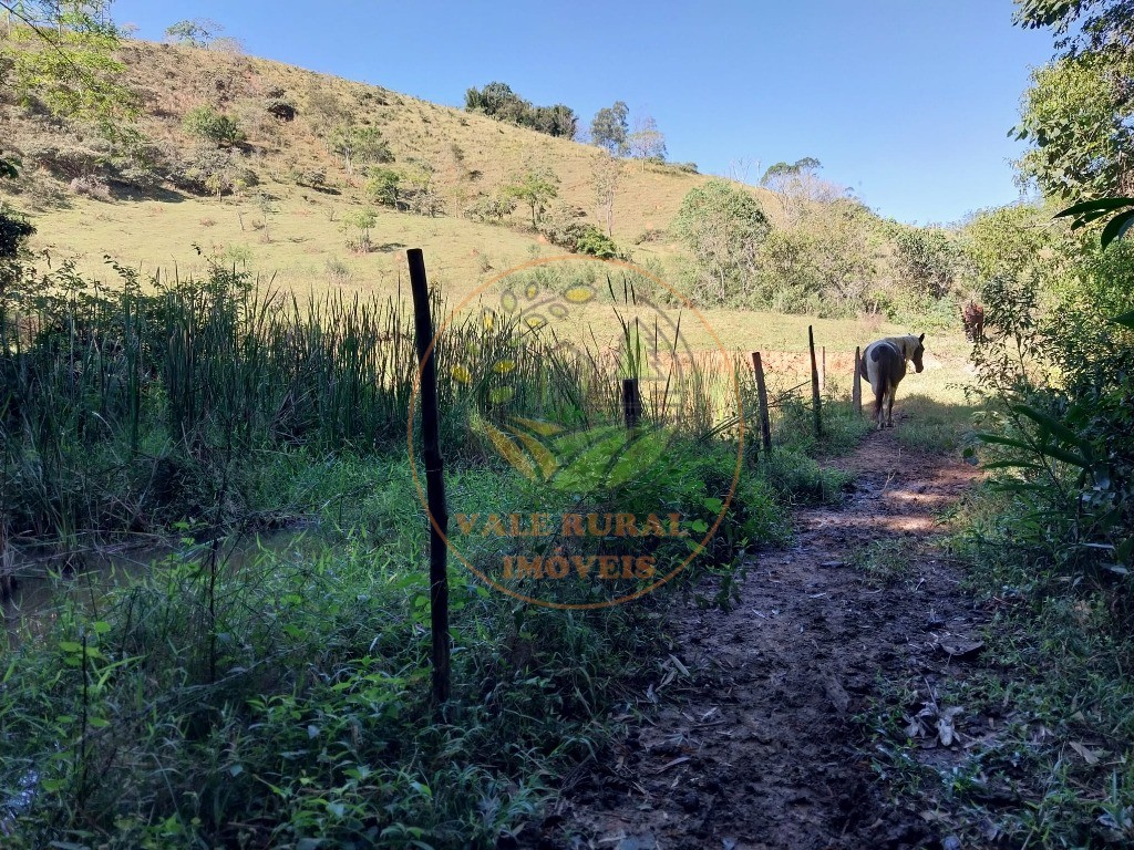 Fazenda - Foto 13