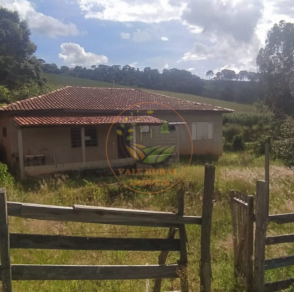 Sítio, 3 quartos, 23000 m² - Foto 3