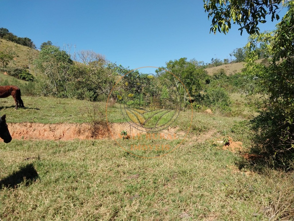 Fazenda - Foto 6