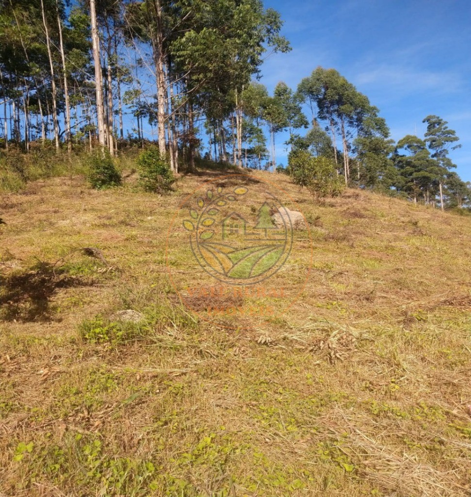 Sítio, 5 quartos, 2 hectares - Foto 15