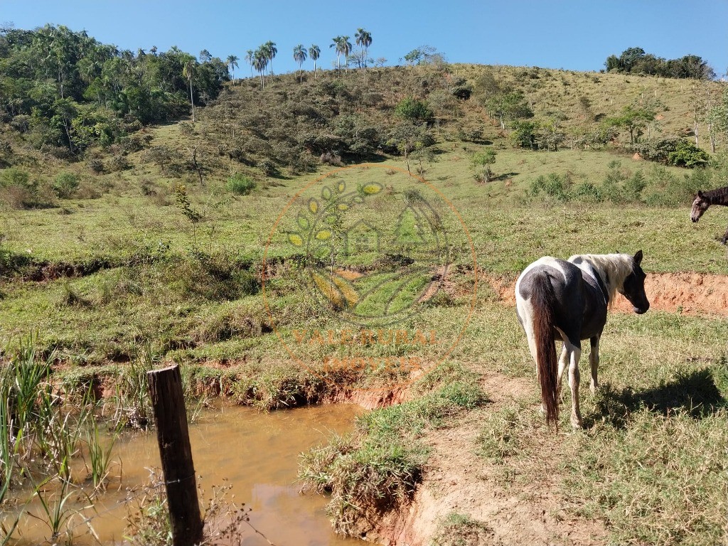 Fazenda - Foto 7