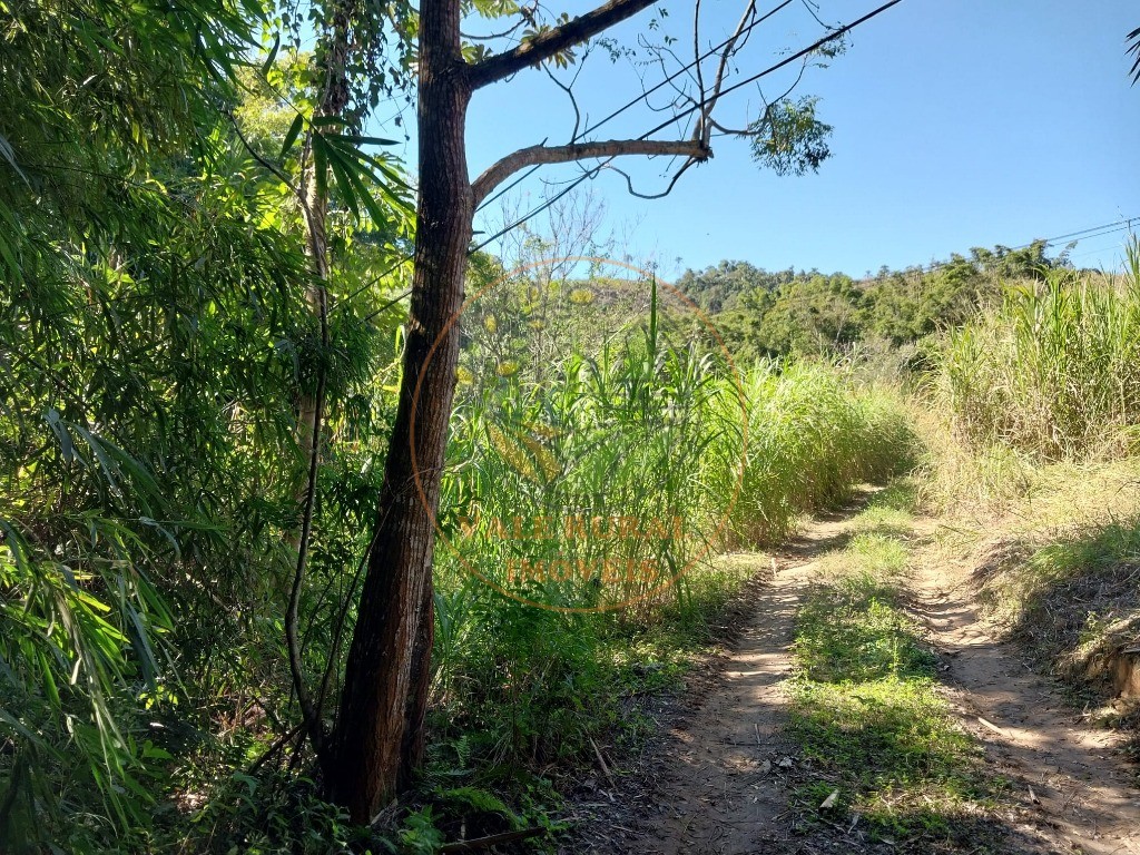 Fazenda - Foto 5