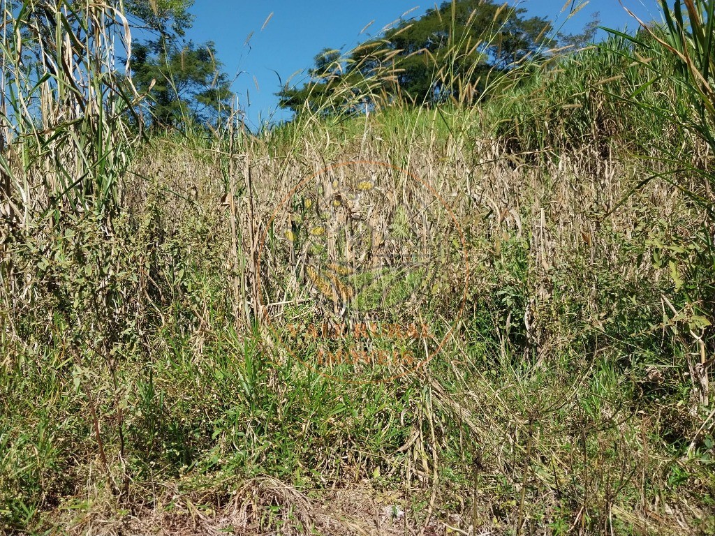 Fazenda - Foto 4