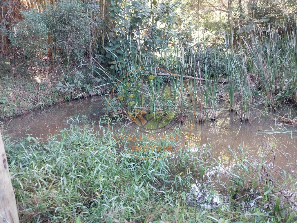 Fazenda - Foto 11
