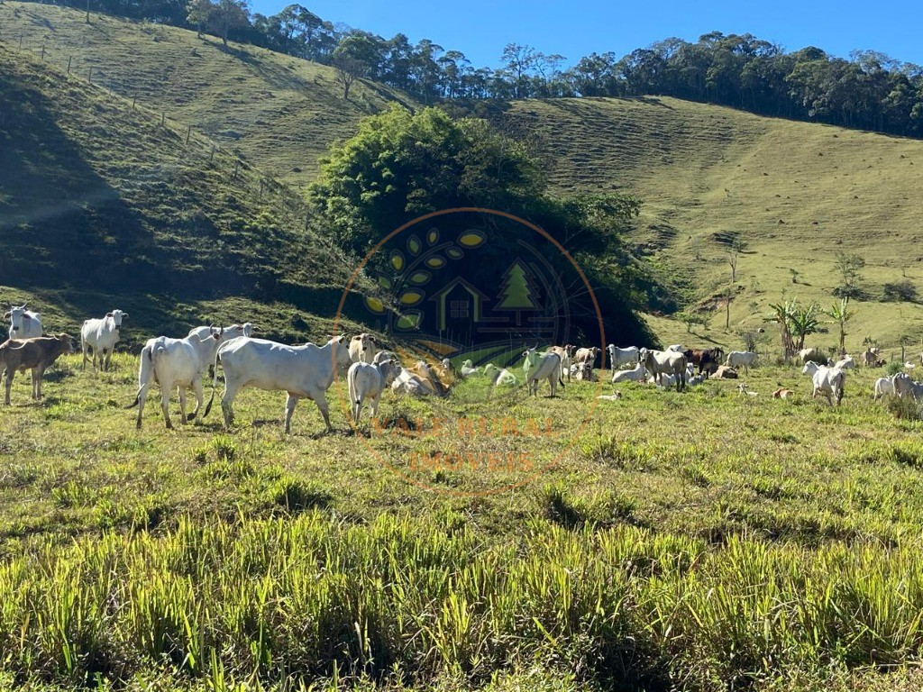 Fazenda, 3 quartos - Foto 22
