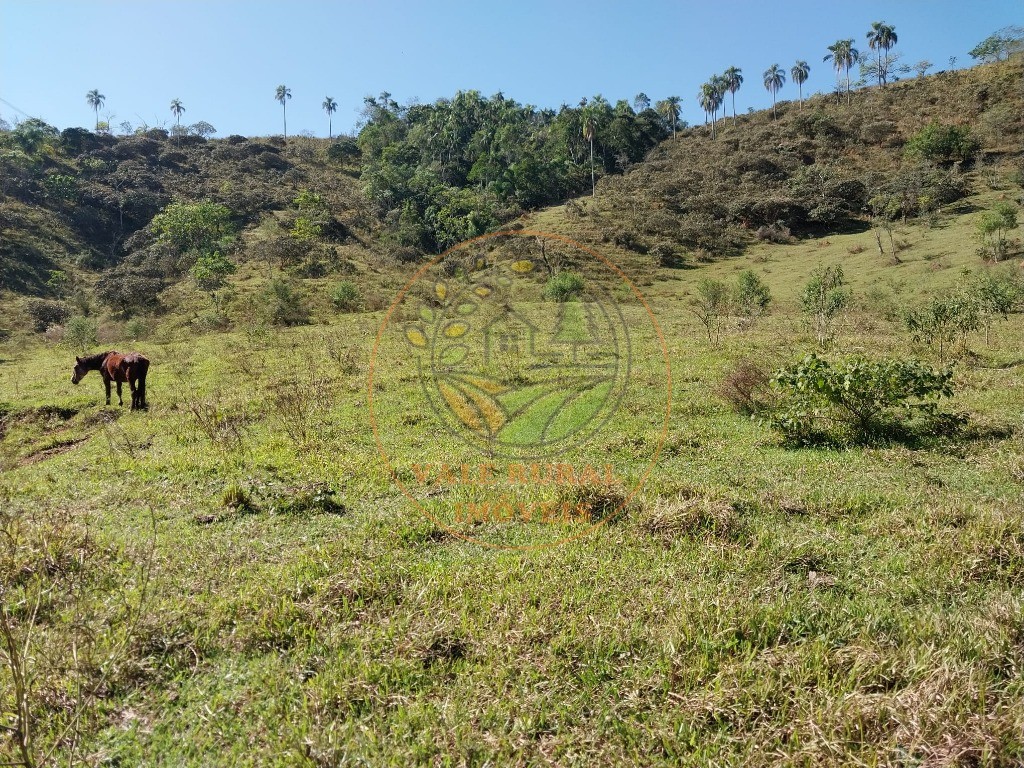 Fazenda - Foto 10