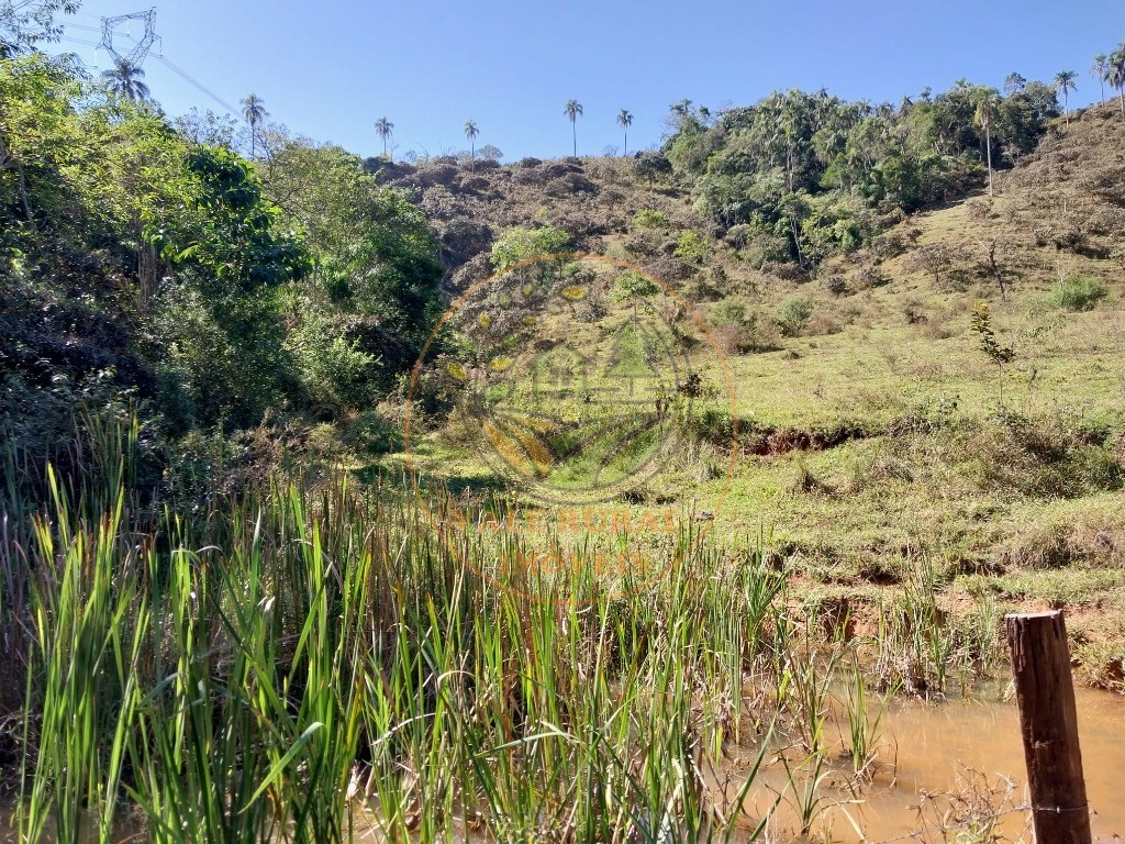 Fazenda - Foto 12