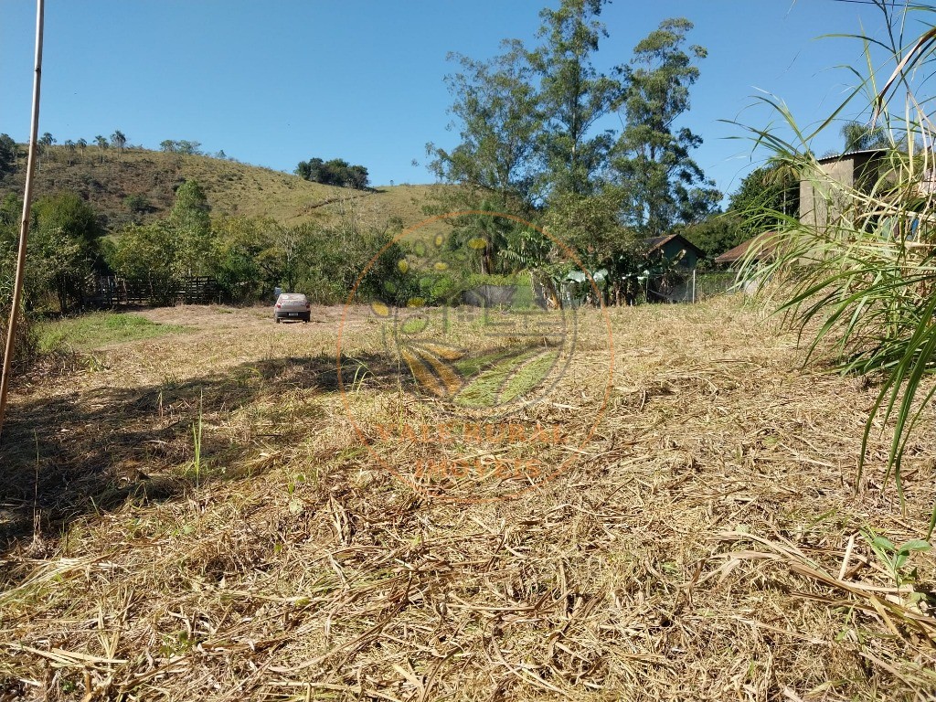 Fazenda - Foto 24