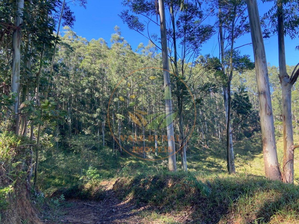 Fazenda, 3 quartos - Foto 44