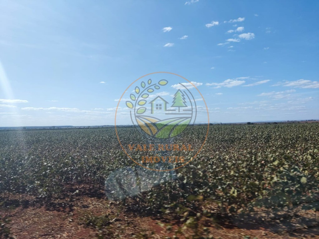 Fazenda - Foto 14