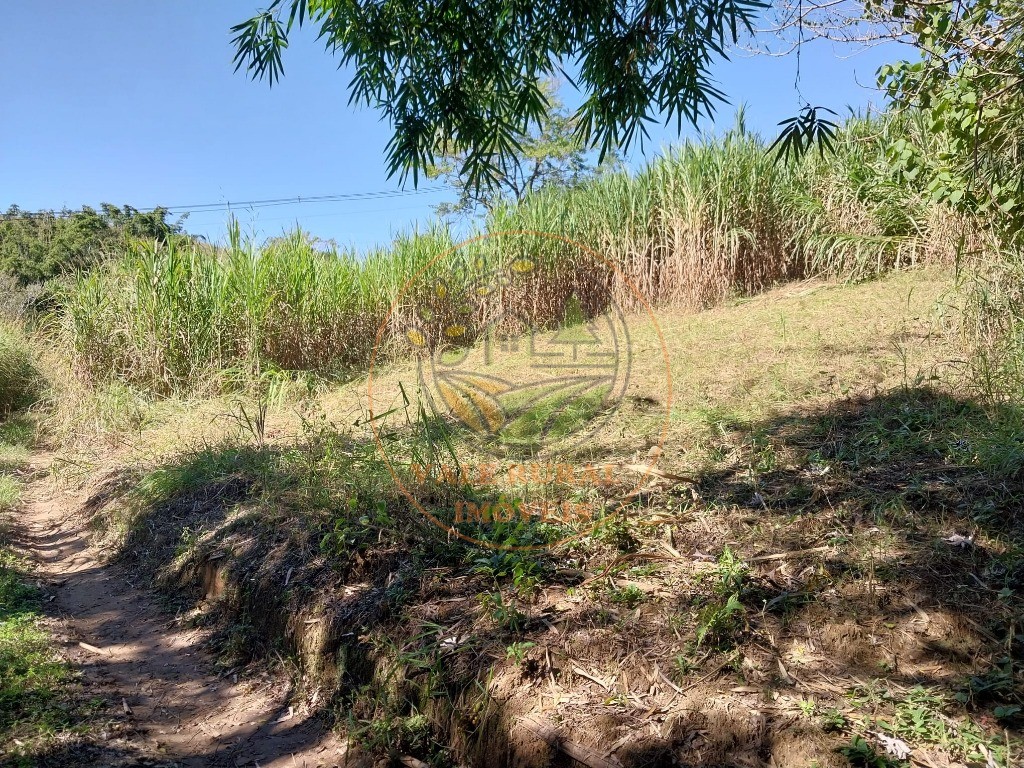Fazenda - Foto 2