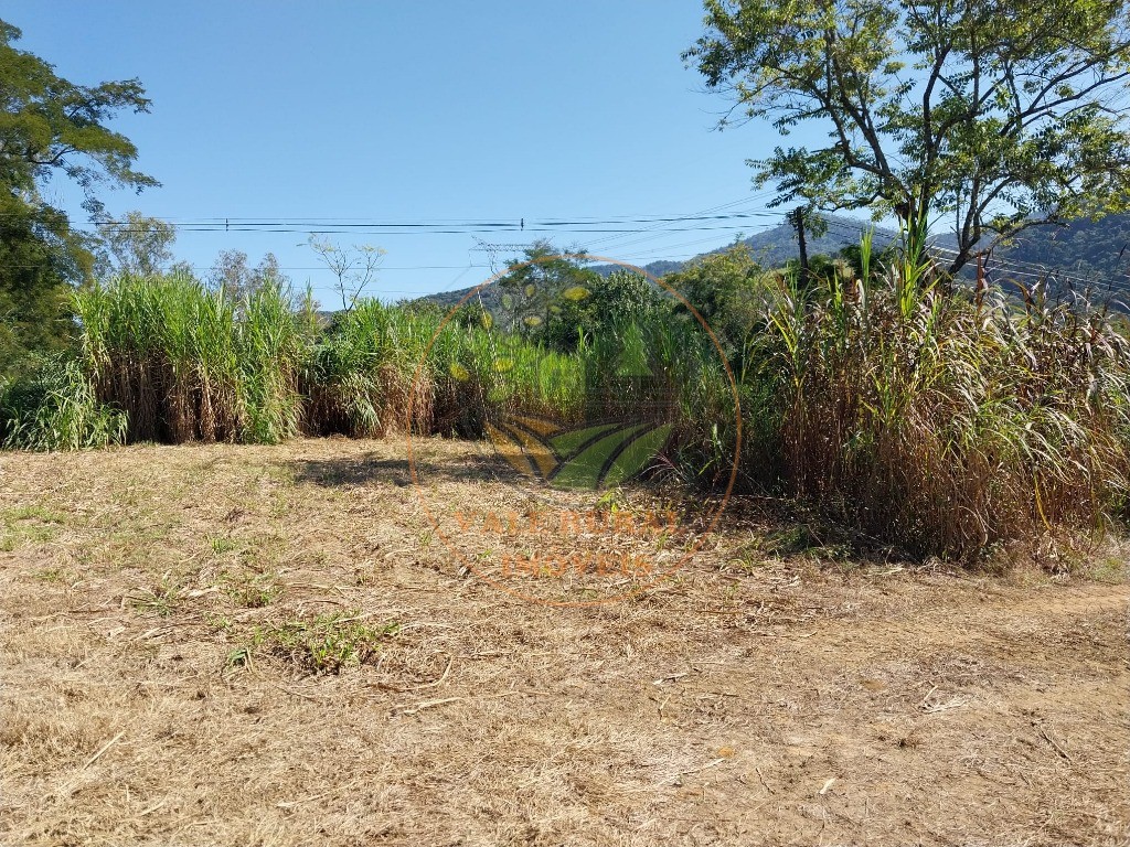 Fazenda - Foto 19