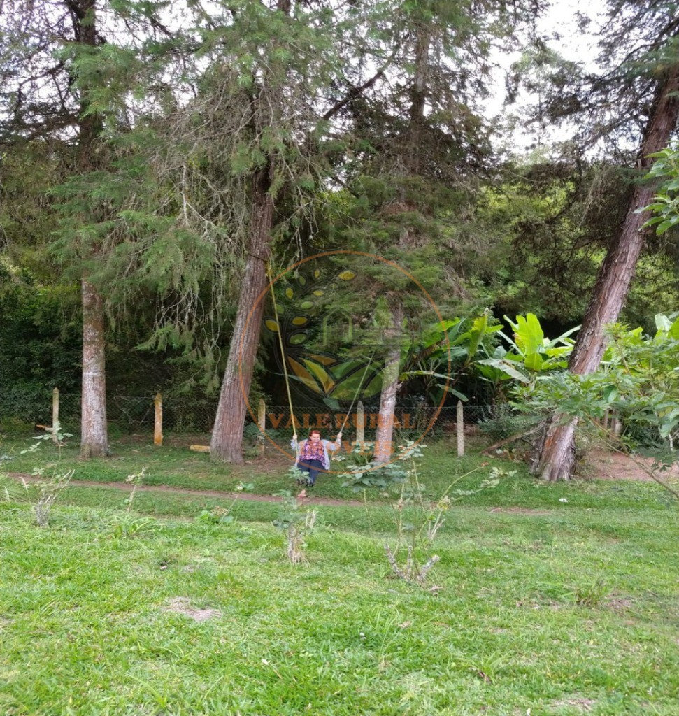 Sítio, 5 quartos, 2 hectares - Foto 4