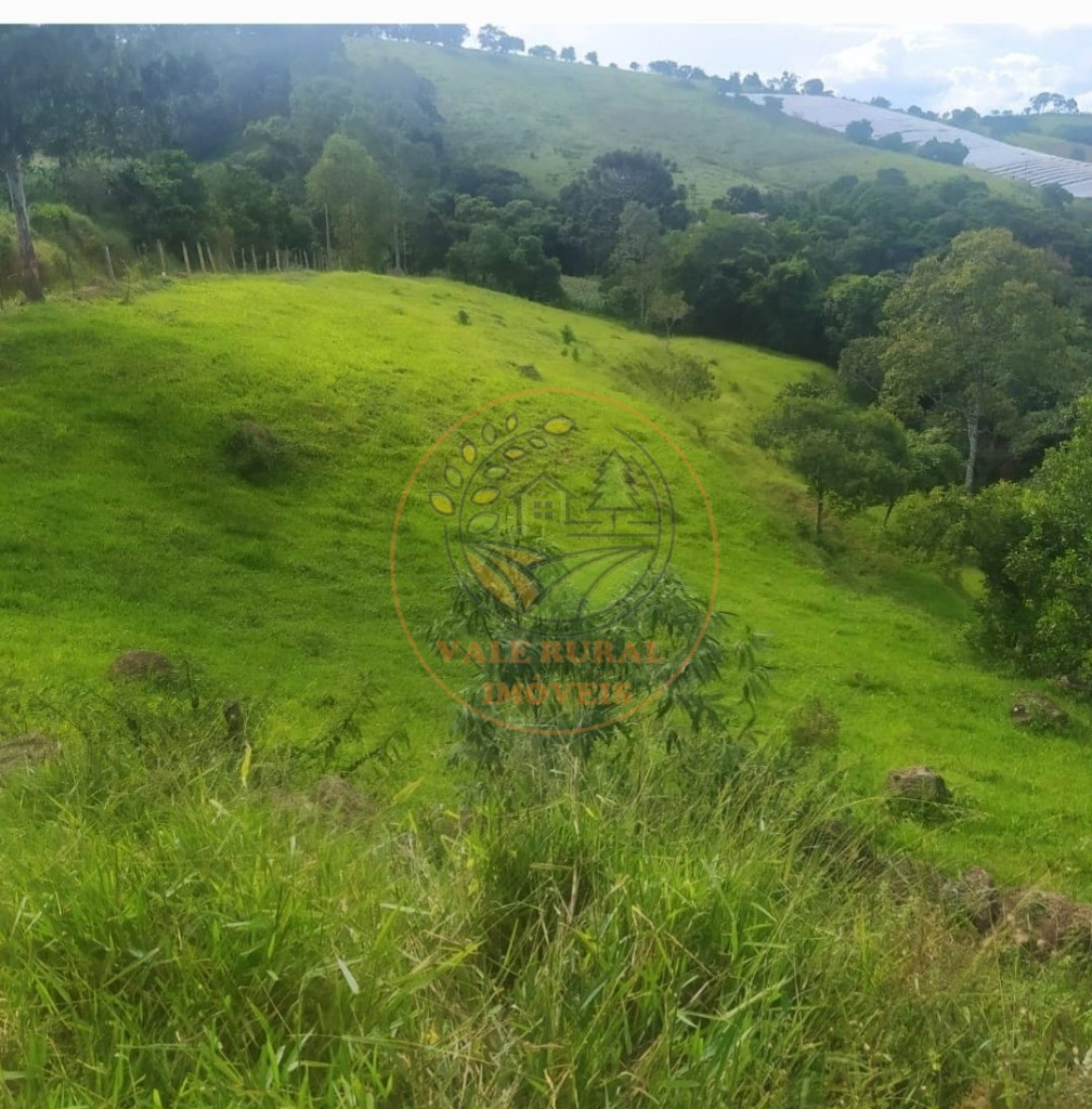 Sítio, 3 quartos, 23000 m² - Foto 13