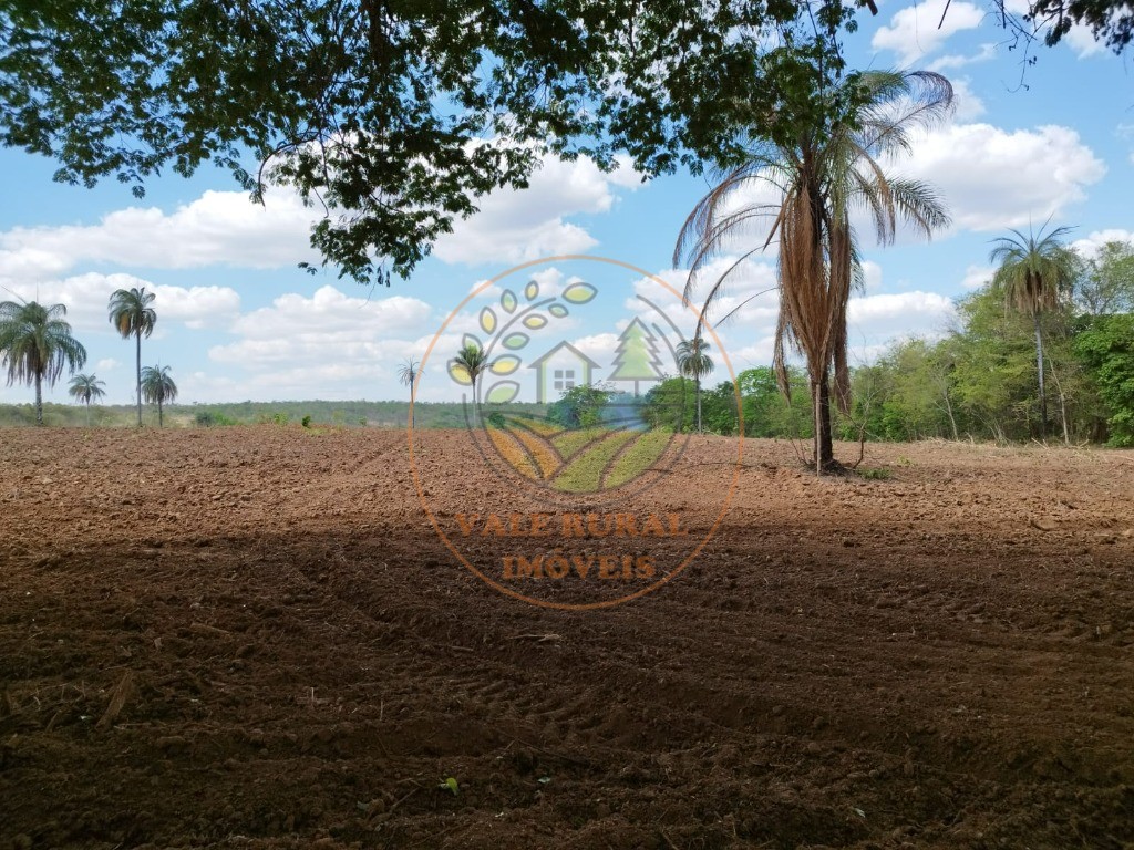 Fazenda, 2 quartos - Foto 3