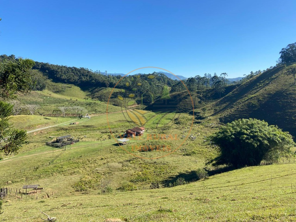 Fazenda, 3 quartos - Foto 40