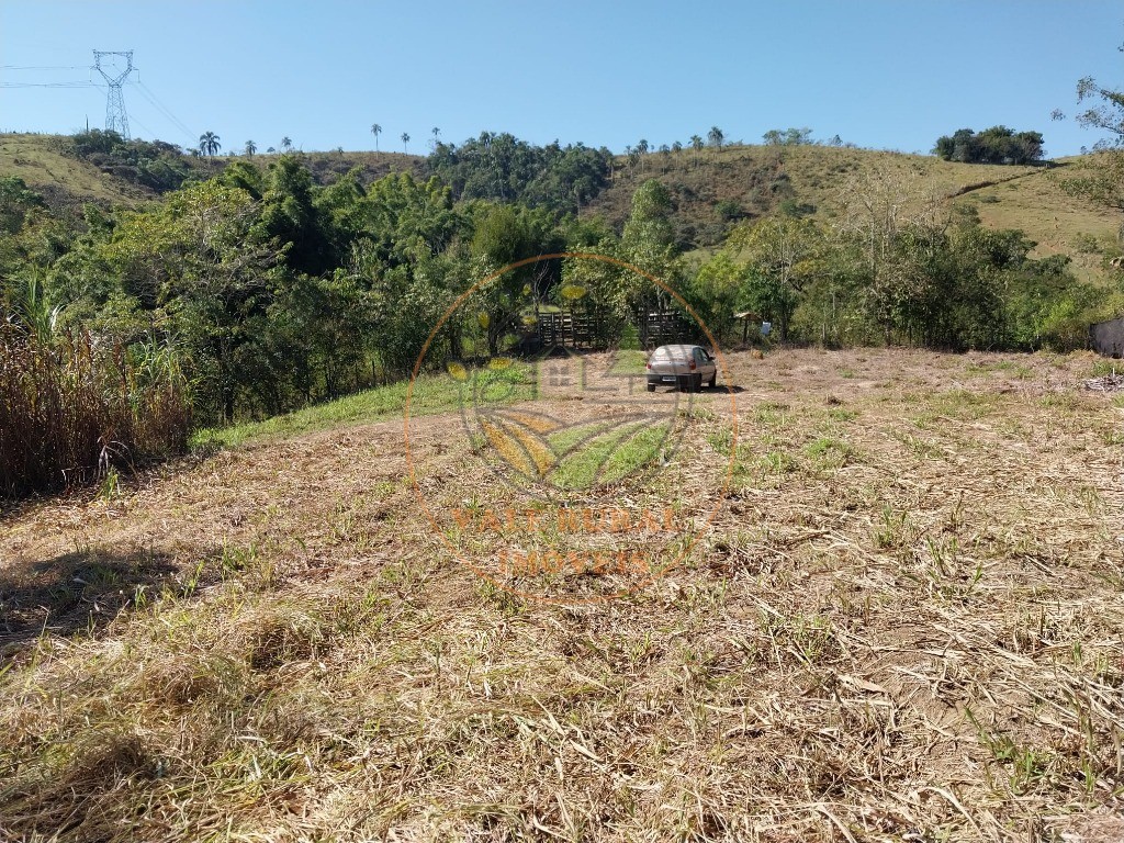 Fazenda - Foto 22