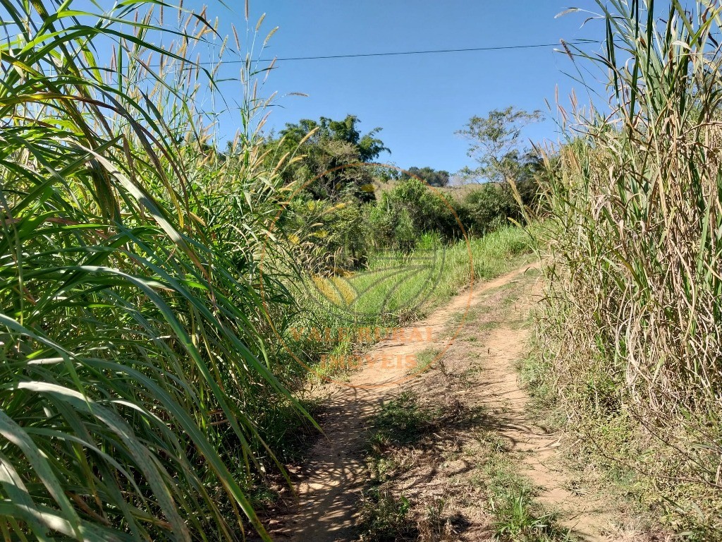 Fazenda - Foto 3