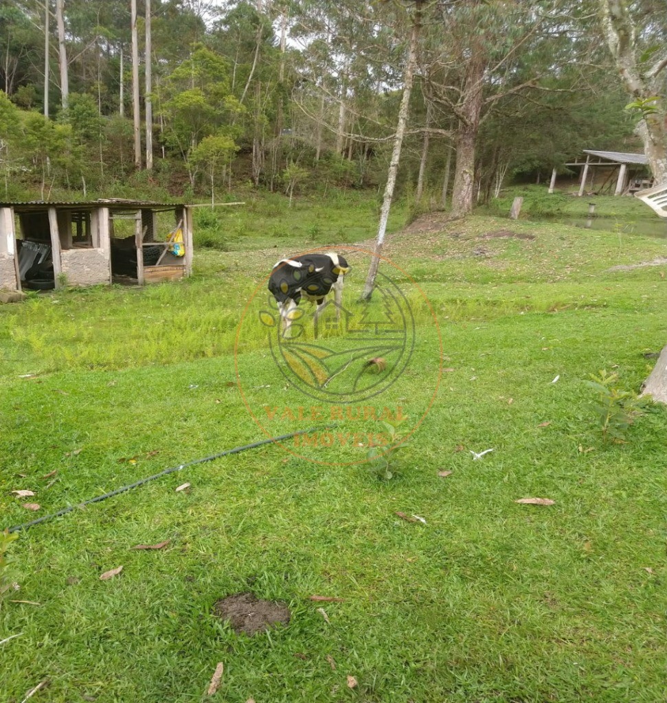 Sítio, 5 quartos, 2 hectares - Foto 17