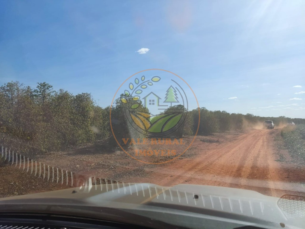 Fazenda - Foto 7