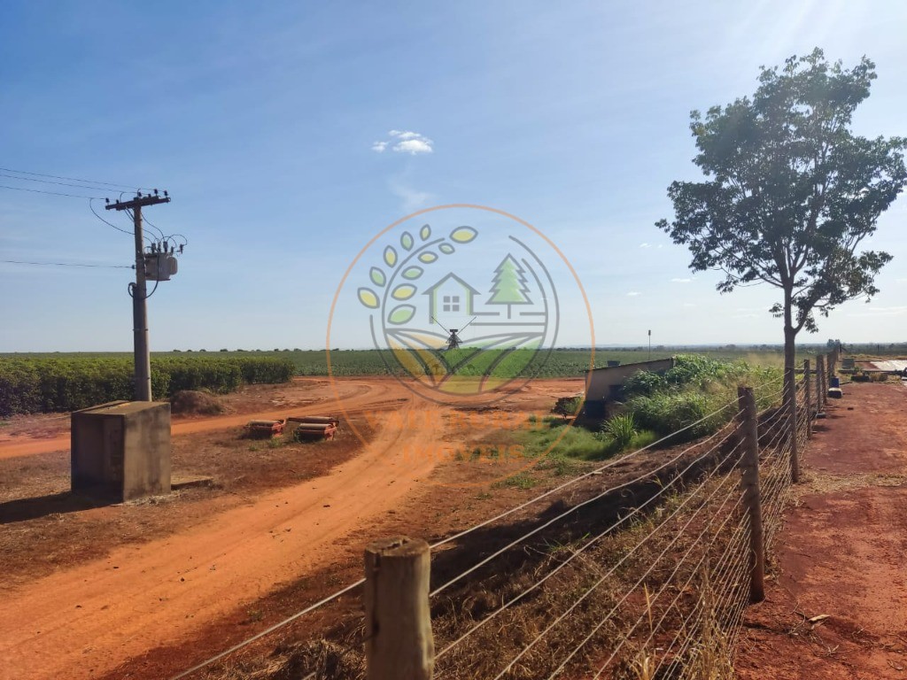 Fazenda - Foto 17
