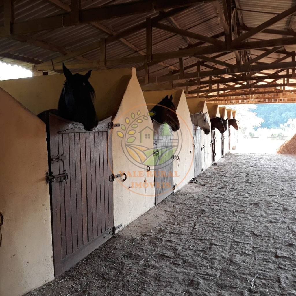 Fazenda - Foto 1