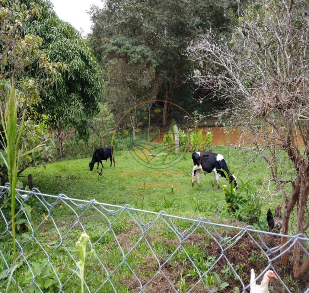 Sítio, 5 quartos, 2 hectares - Foto 14