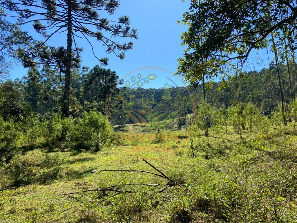 Fazenda, 3 quartos - Foto 53