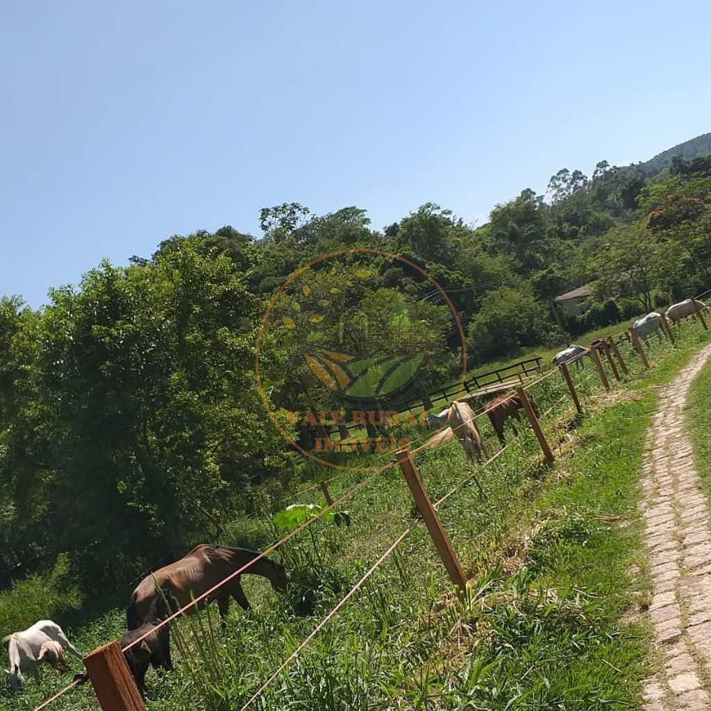 Fazenda - Foto 16
