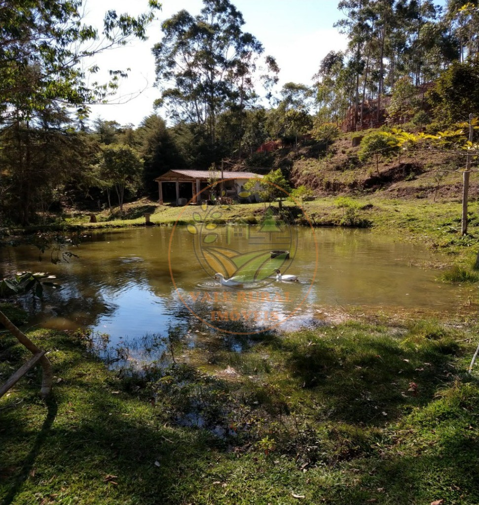 Sítio, 5 quartos, 2 hectares - Foto 20