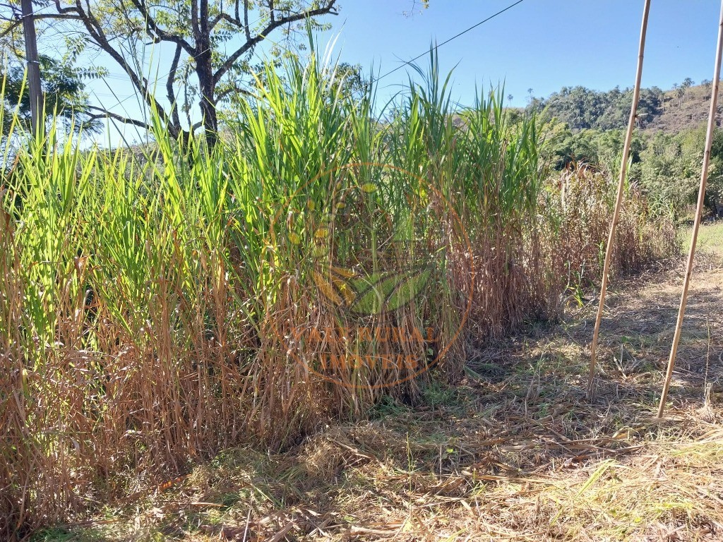 Fazenda - Foto 21