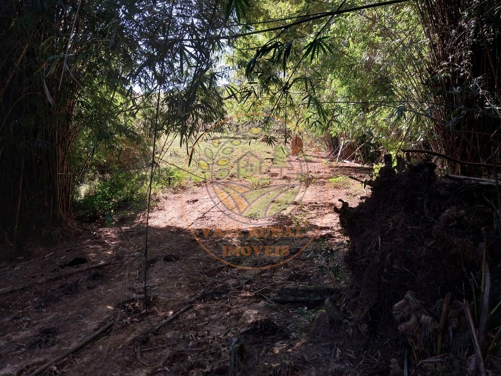 Fazenda - Foto 17