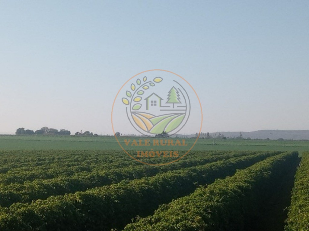 Fazenda - Foto 2