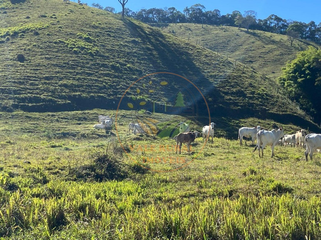 Fazenda, 3 quartos - Foto 25